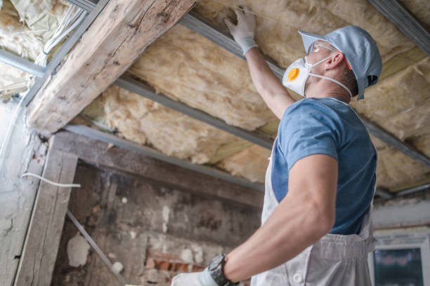 Best Specialized Insulation Services in Dallastown, PA